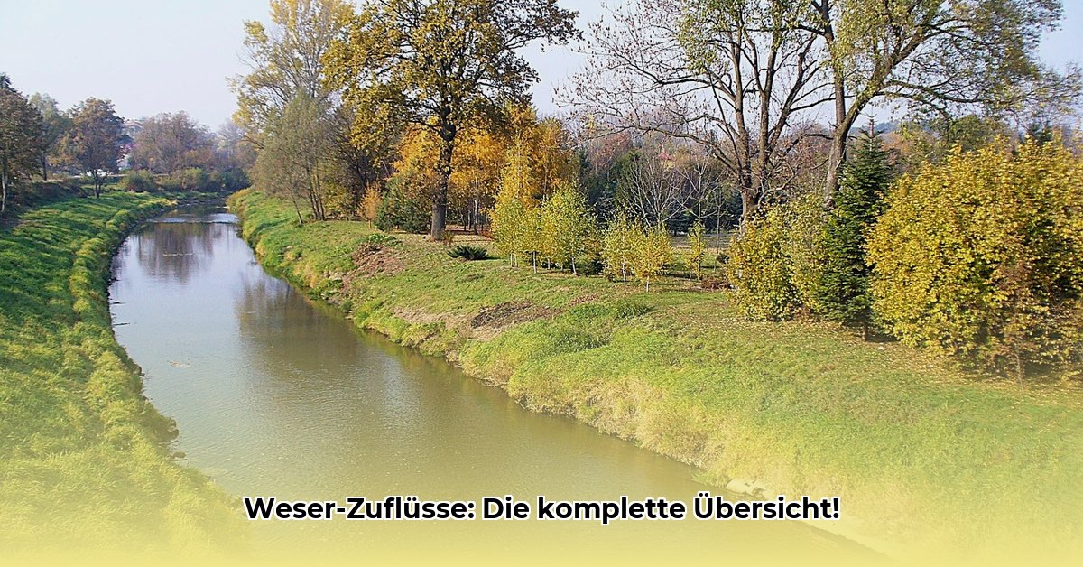 fluss-zur-weser